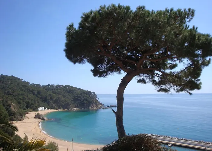 Mar Villa Lloret de Mar